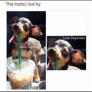 Meet your Posher, Alex